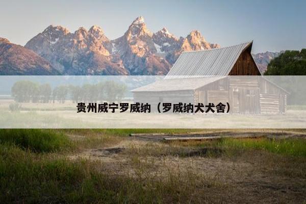 贵州威宁罗威纳（罗威纳犬犬舍）