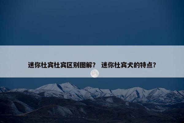 迷你杜宾杜宾区别图解？ 迷你杜宾犬的特点？