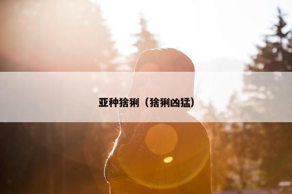 亚种猞猁（猞猁凶猛）