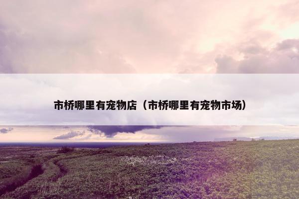 市桥哪里有宠物店（市桥哪里有宠物市场）
