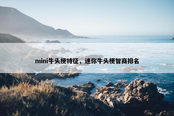 mini牛头梗特征，迷你牛头梗智商排名