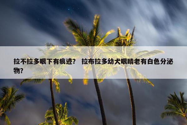 拉不拉多眼下有痕迹？ 拉布拉多幼犬眼睛老有白色分泌物？