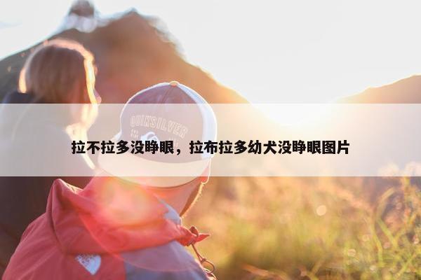 拉不拉多没睁眼，拉布拉多幼犬没睁眼图片