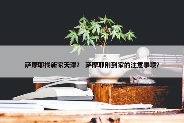 萨摩耶找新家天津? 萨摩耶刚到家的注意事项?