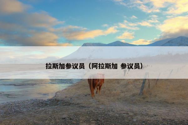 拉斯加参议员（阿拉斯加 参议员）