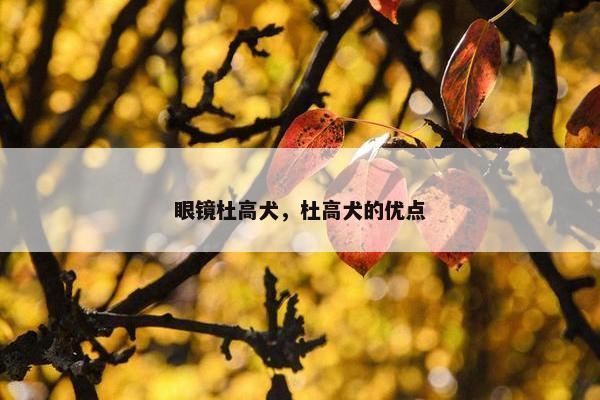 眼镜杜高犬，杜高犬的优点