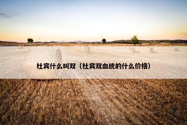 杜宾什么叫双（杜宾双血统的什么价格）