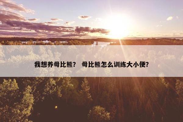 我想养母比熊？ 母比熊怎么训练大小便？