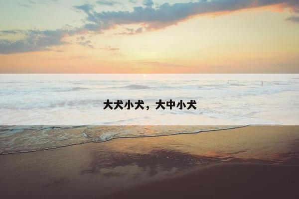 大犬小犬，大中小犬