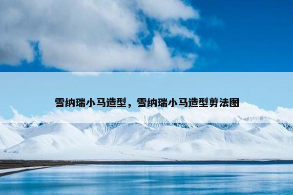 雪纳瑞小马造型，雪纳瑞小马造型剪法图