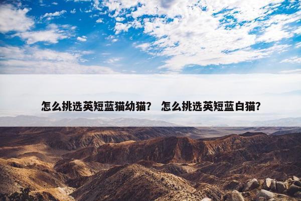 怎么挑选英短蓝猫幼猫？ 怎么挑选英短蓝白猫？