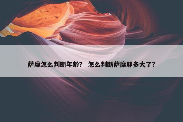 萨摩怎么判断年龄？ 怎么判断萨摩耶多大了？