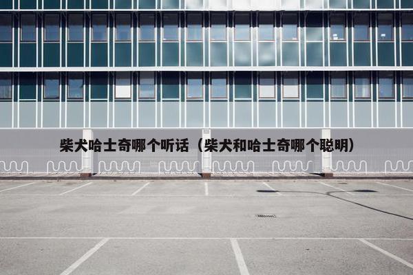 柴犬哈士奇哪个听话（柴犬和哈士奇哪个聪明）