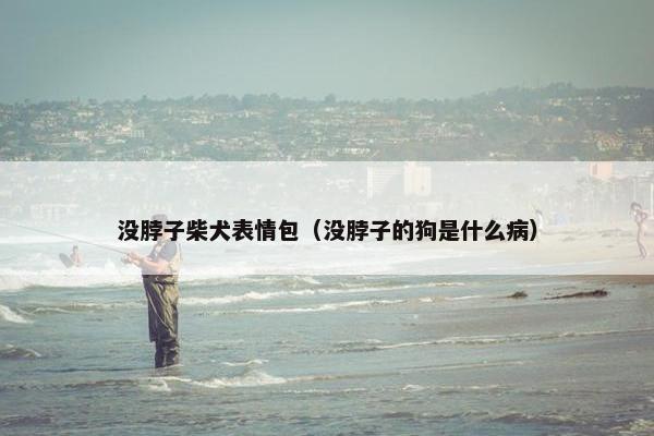 没脖子柴犬表情包（没脖子的狗是什么病）