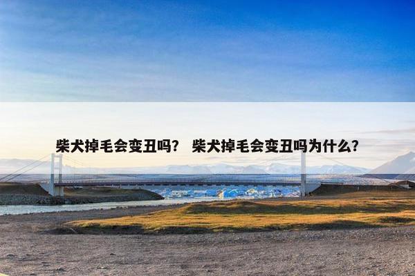 柴犬掉毛会变丑吗？ 柴犬掉毛会变丑吗为什么？