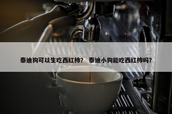 泰迪狗可以生吃西红柿？ 泰迪小狗能吃西红柿吗？