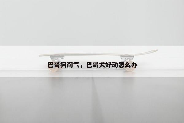 巴哥狗淘气，巴哥犬好动怎么办