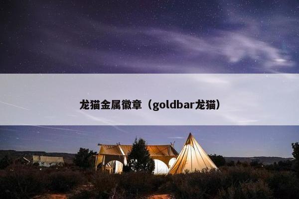 龙猫金属徽章(goldbar龙猫) 龙猫金属徽章(goldbar龙猫)