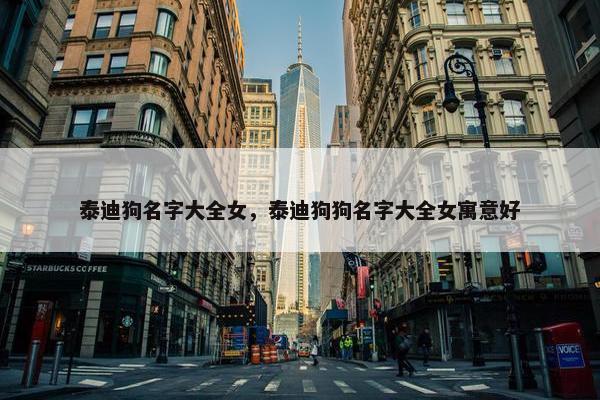 泰迪狗名字大全女，泰迪狗狗名字大全女寓意好