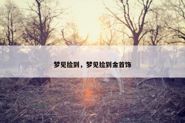 梦见捡到,梦见捡到金首饰