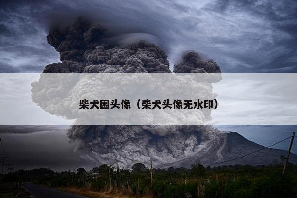 柴犬困头像（柴犬头像无水印）