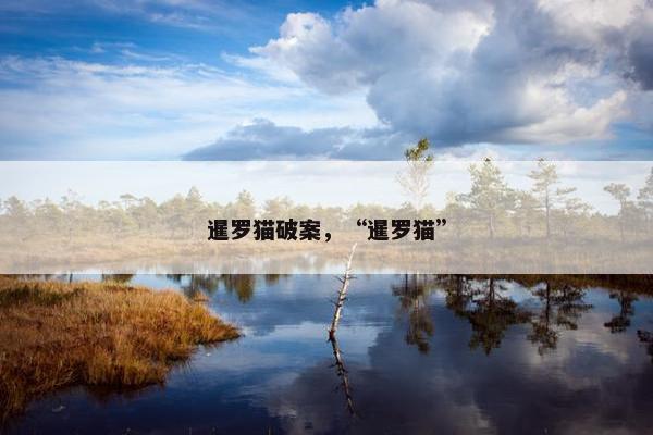 暹罗猫破案，“暹罗猫”