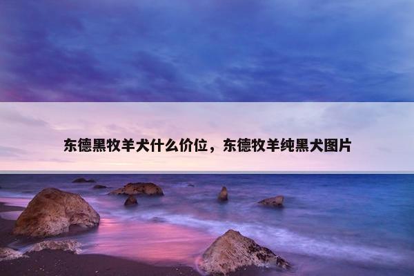 东德黑牧羊犬什么价位，东德牧羊纯黑犬图片