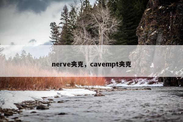 nerve夹克，cavempt夹克