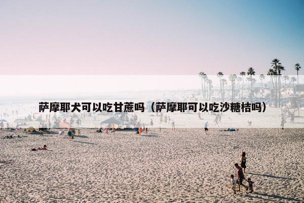 萨摩耶犬可以吃甘蔗吗（萨摩耶可以吃沙糖桔吗）