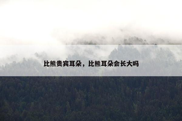 比熊贵宾耳朵，比熊耳朵会长大吗