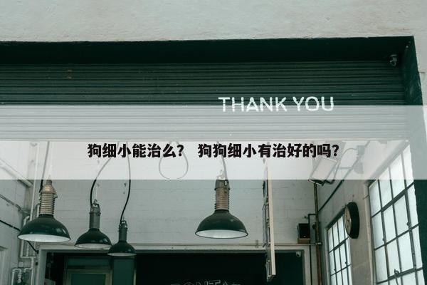 狗细小能治么？ 狗狗细小有治好的吗？