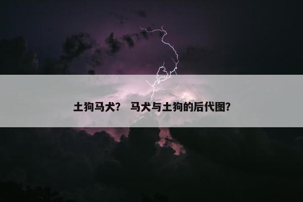 土狗马犬？ 马犬与土狗的后代图？