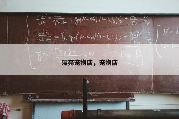 漂亮宠物店，宠物店