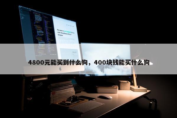 4800元能买到什么狗，400块钱能买什么狗