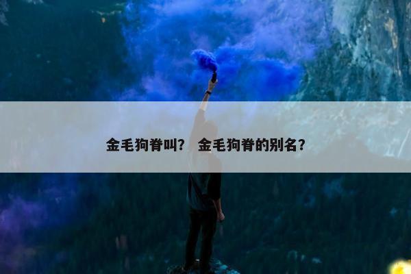 金毛狗脊叫？ 金毛狗脊的别名？