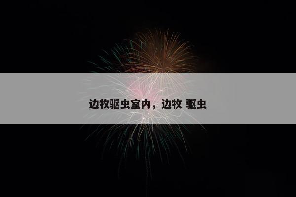 边牧驱虫室内，边牧 驱虫