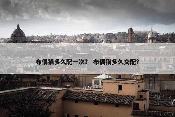 布偶猫多久配一次？ 布偶猫多久交配？