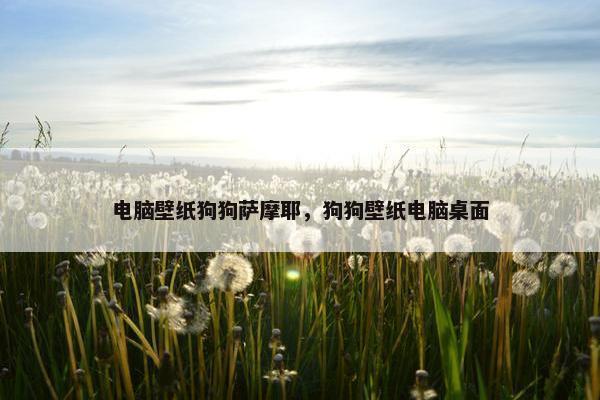 电脑壁纸狗狗萨摩耶，狗狗壁纸电脑桌面