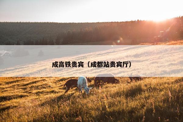 成高铁贵宾（成都站贵宾厅）