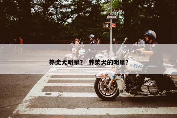 养柴犬明星？ 养柴犬的明星？