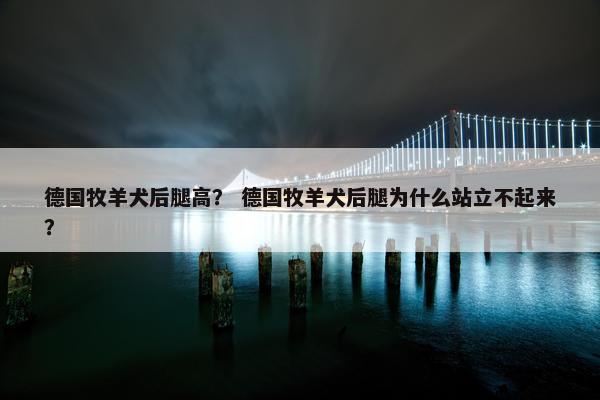 德国牧羊犬后腿高？ 德国牧羊犬后腿为什么站立不起来？