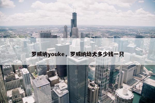 罗威纳youke，罗威纳幼犬多少钱一只