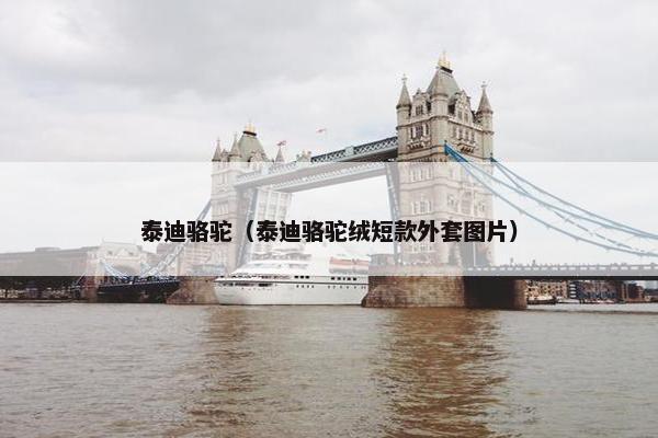 泰迪骆驼（泰迪骆驼绒短款外套图片）