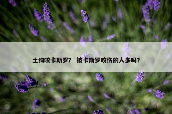 土狗咬卡斯罗？ 被卡斯罗咬伤的人多吗？