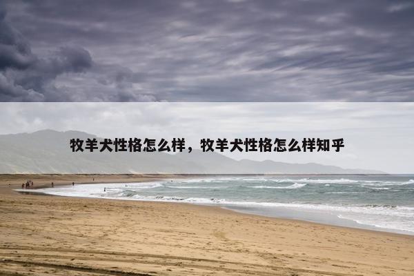 牧羊犬性格怎么样，牧羊犬性格怎么样知乎