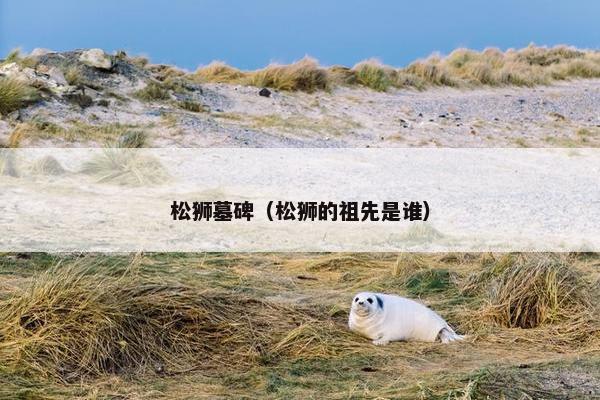 松狮墓碑（松狮的祖先是谁）