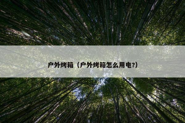 户外烤箱（户外烤箱怎么用电?）