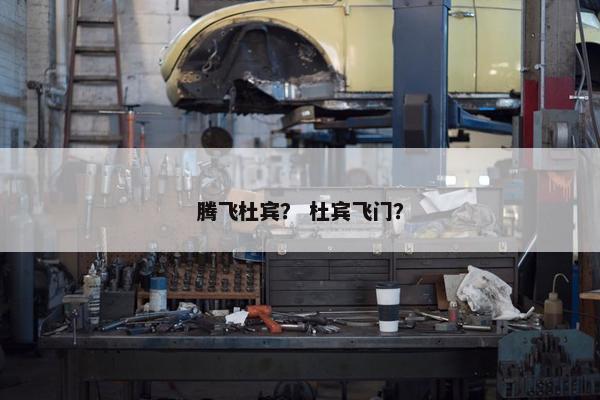 腾飞杜宾？ 杜宾飞门？