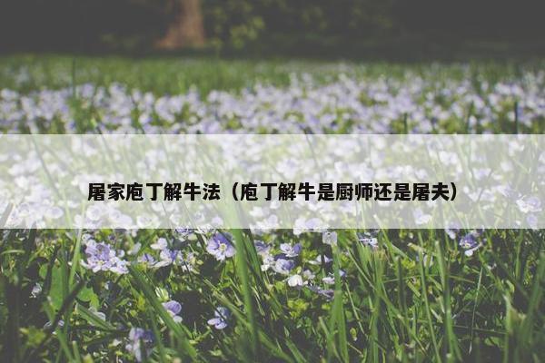 屠家庖丁解牛法(庖丁解牛是厨师还是屠夫)