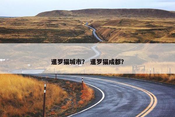 暹罗猫城市？ 暹罗猫成都？